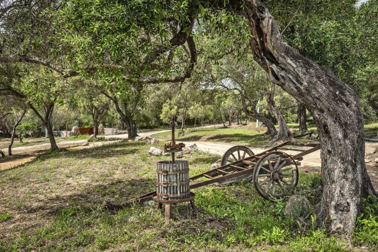 أرتْساكينا Uddastri Retreat المظهر الخارجي الصورة