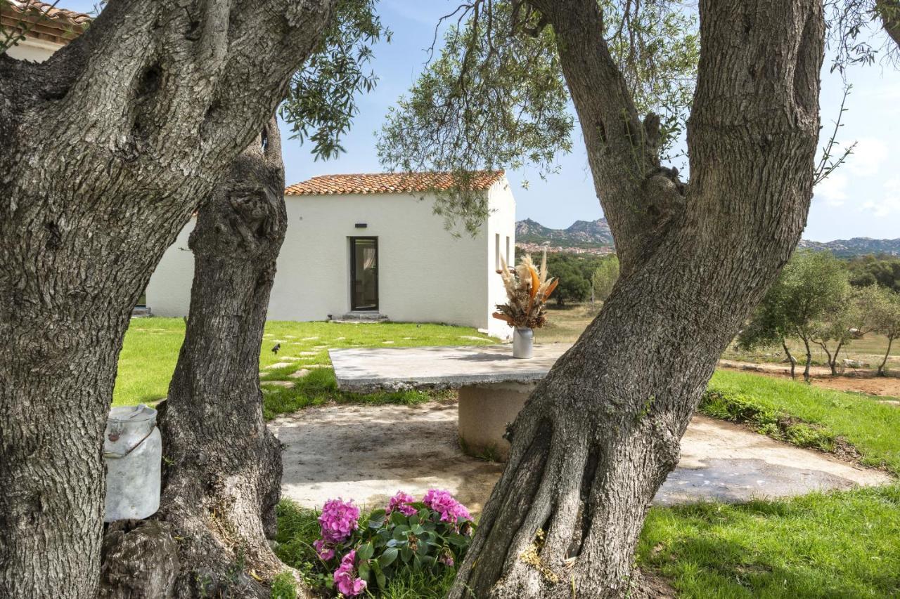 أرتْساكينا Uddastri Retreat المظهر الخارجي الصورة